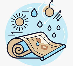 Rug Water Damage Restoration